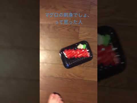 何これ？何これ！