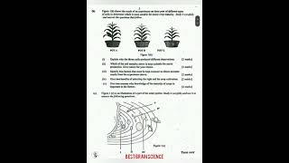 2025 Best Brain December Science Mock Questions  #2025bece #bestbrainmock #science #bece2026