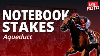 Notebook Stakes @ Aqueduct | DRF Friday ROTD | November 14, 2025
