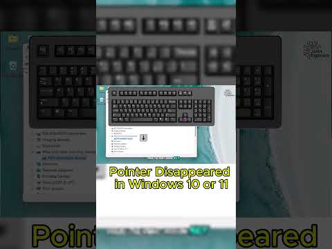 Get Your POINTER Back in Windows 10 or 11!
