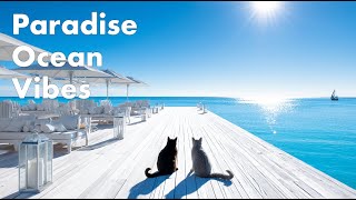 Paradise Ocean Vibes | Chill Lounge Sounds for Work, Study & Calm