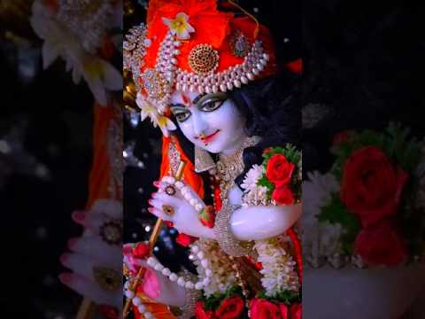 Krishna janmashtami song|Krishnaji status|Janmashtami status song|Happy janmashtami song| Krishnaji