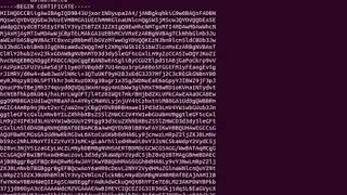 openssl view certificate