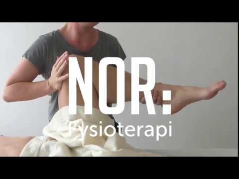 Fysioterapi