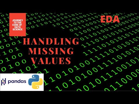 Handling Missing Values| EDA | Python Tutorial | Data Science