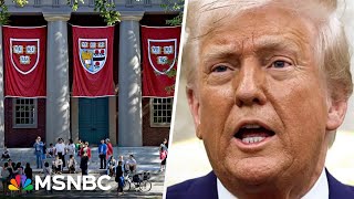 'Puzzled' and 'shocked': Harvard international student reacts to Trump threats