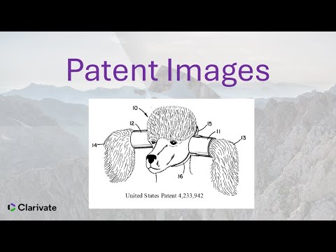 Patent Images