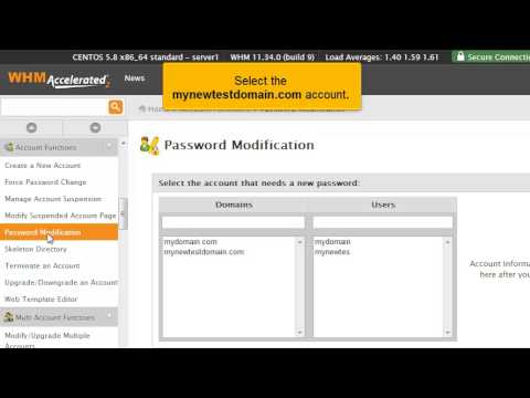 How to change account password in WHM