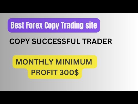 Copy Trading Make profit | How To Find Best copy trader | Lite Finance | copy trade | forex creation
