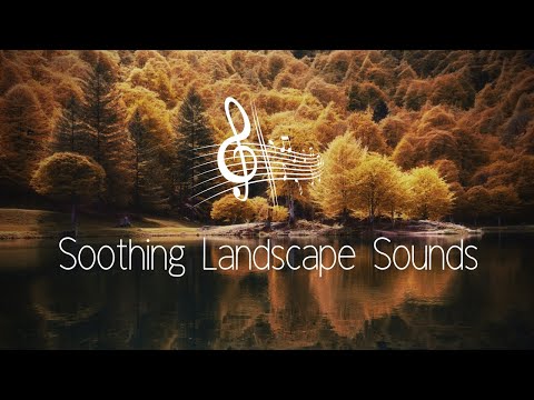 Soothing Landscape Sounds: Relax and Unwind with Nature's Melodies