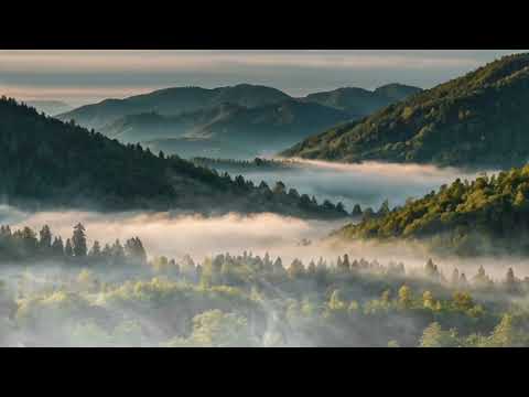 Lullaby of Comfort Songs to Ease Your Sorrows