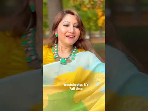 Westchester, NY (Fall time) #falltime #shorts #priyadias #beautifulplace #autumntrees #colorful #nyc