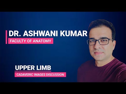 UPPER LIMB ANATOMY (CADAVERIC IMAGES DISCUSSION)