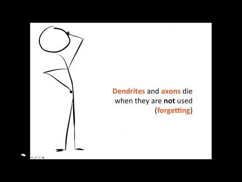 Making Memories - An Introduction to  Brain Based Learning