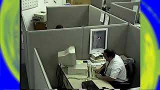 melhor trader do brasil