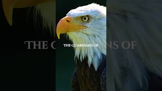The Guardians of the EARTH