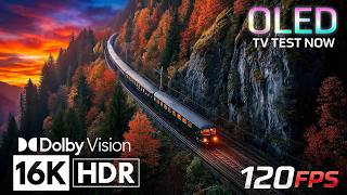 MOST COLORFUL SCENES in 16K Dolby Vision™ HDR 120FPS (4K/8K TV)