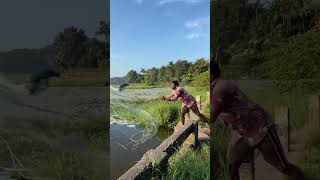 "Mastering Net Fish Caching: Secrets Revealed!" #fisherman #fishing #youtube #shorts #short