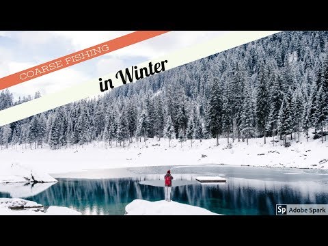 Coarse Fishing in Winter