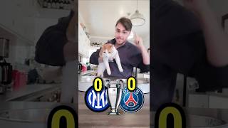Can a Cat Predict the Champions League Final?🐱