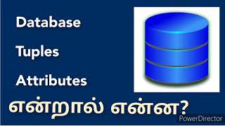 DBMS  Guide  for Beginners