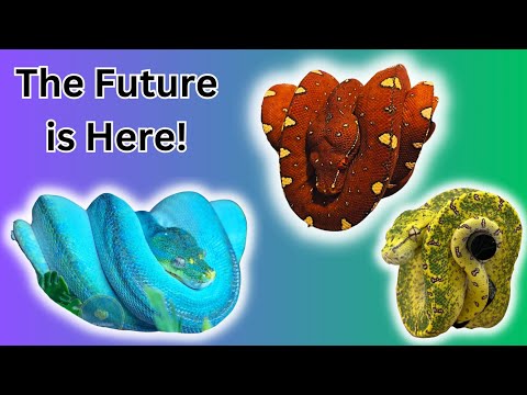 Unboxing TWO Incredible Snakes!