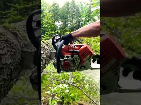 THIS CHAINSAW SOUNDS LIKE A TRANSFORMER!🤖