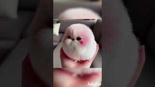 🥰😍cute bird!!!#virtualart #techcreatives #artificialimagination #digitalcreation #machinelearning