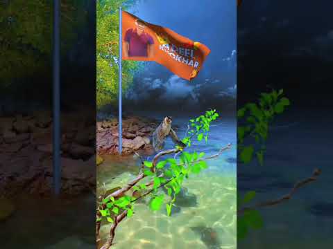 shorts #viralshorts #trendingshorts #fyp #fypシ #ytshorts #instagram #reels #trendingediting