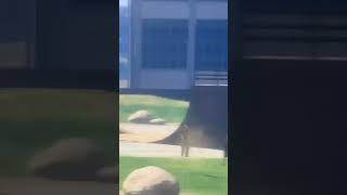 The Park Not Even Safe Nomore#rpserver #fivem #gaming #gameplay #gta