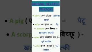 Animal related phrases 26 July 2024