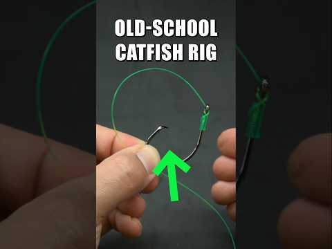 This Catfish Rig Should Be illegal