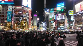 Sunset at Shibuya Sky and car spotting at Shibuya Crossing!