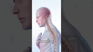 What Is MS?