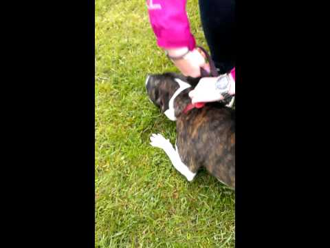 Our first play with Poppy