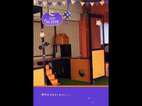 Eid Pet Boarding Bliss at My Pet Hospital!