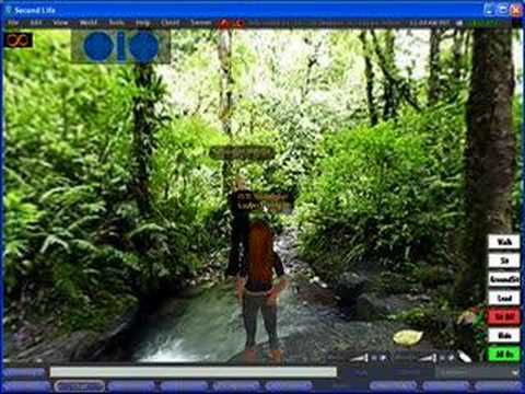 Using the Chat Function - Second Life
