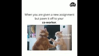 When Manger ask's (9).mp4