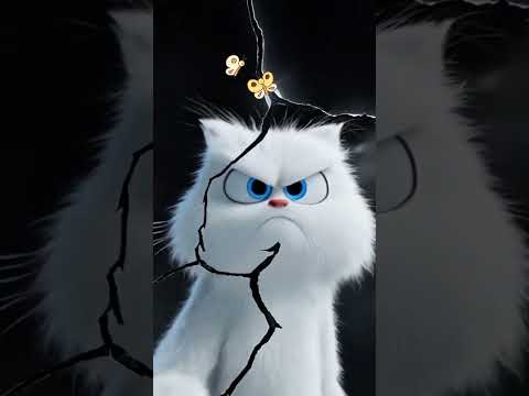 #kidsvideo #kidscartoon #kidsfun #kidssongs # #funforkids #cat #catvideos