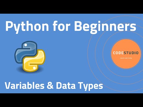 Python Basics: Variables & Data Types Explained | Python for Beginners