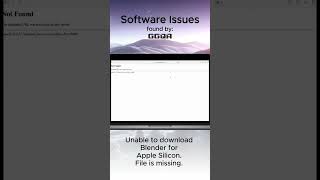 Software issue discovered by GGQA: Blender file for Apple Silicon not found.