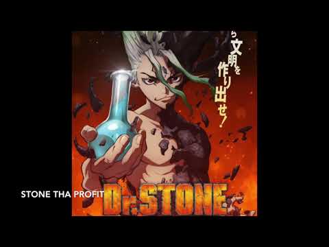 Dr. Stone