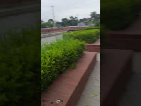 Morning Walk in Flower Garden 🌼🌸 #productiveday #vlog #minivlog  #dailyvlog #youtubeshorts #youtube