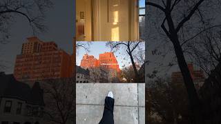 Little moments from a week in my life #minivlog #vlogging #weekinmylife #weekinmylifevlog