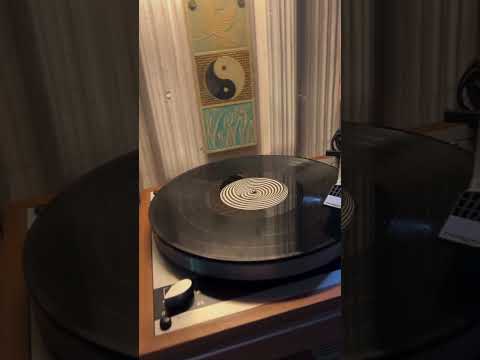 🎶 Relaxing Evening Vibes 🎧✨