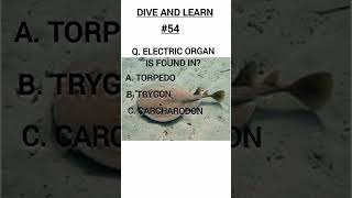 #neet2025 #ncertsolutions #ncert  #11th_biology #neetmotivation #neet #neetsolutions