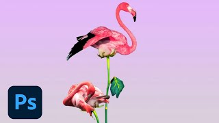 Photoshop Daily Creative Challenge - Merge Images | Adobe Creative Cloud