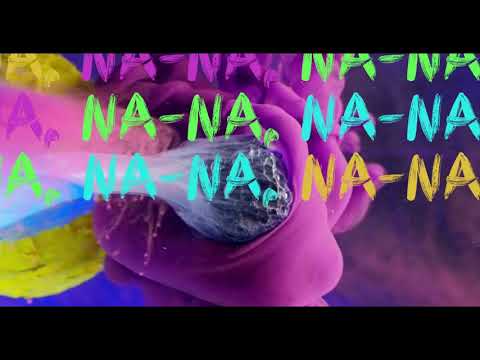 Lyric Video Blink182 - All the small things
