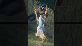 I Scared Rooster SO BAD! Call of the wild #shorts