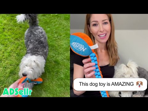 User Generated Content Example | Dropshipping Pet Product TikTok Ads